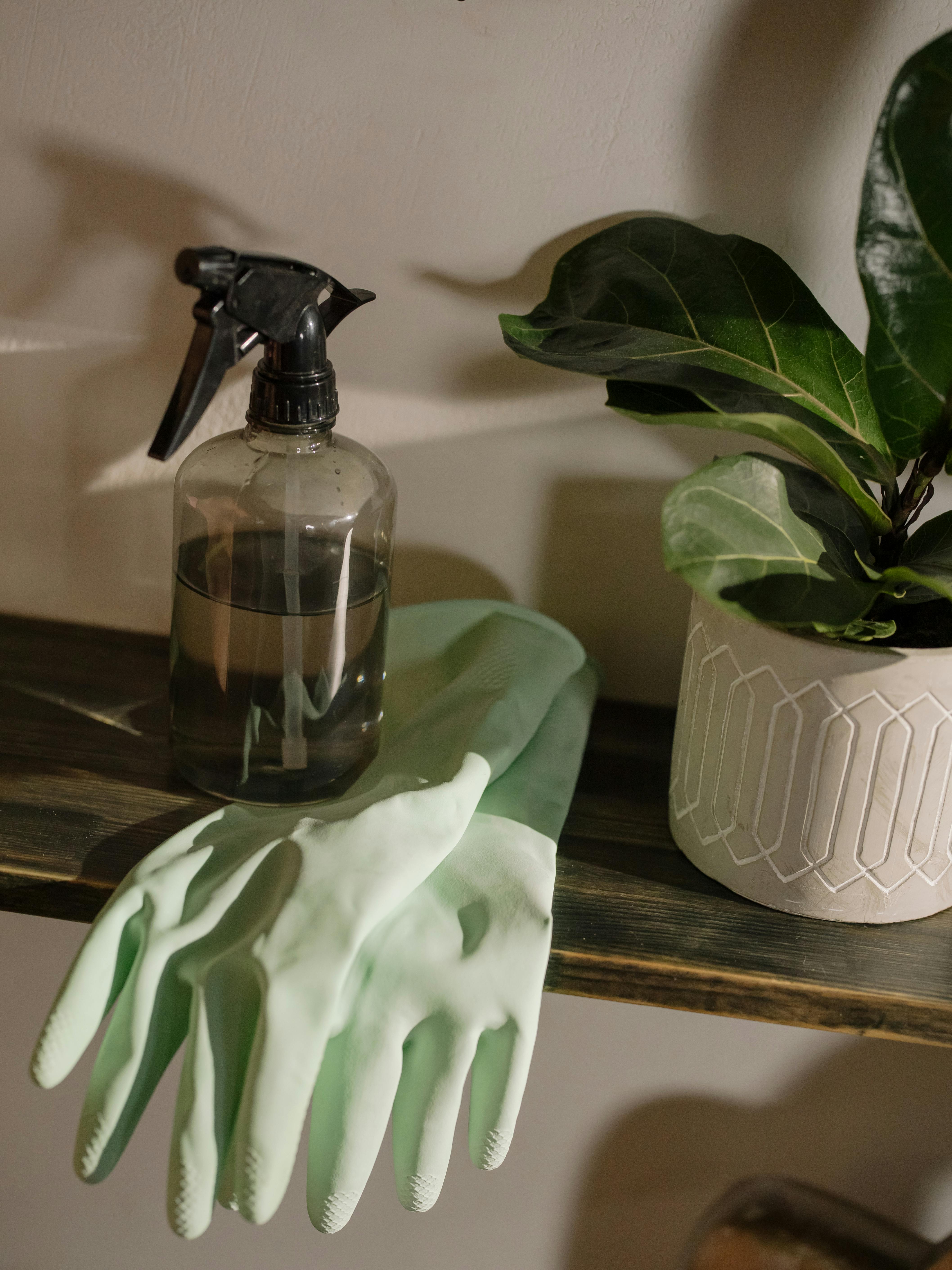 Calm home lifestyle detail